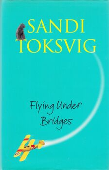 Flying Under Bridges