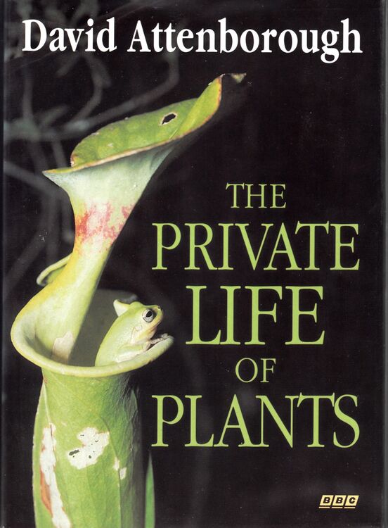 The Private Life of Plants