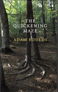 The Quickening Maze